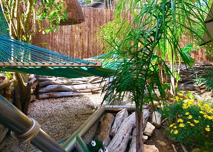 Grimaud Golf Saint Tropez Rez De Jardin Vue Piscine